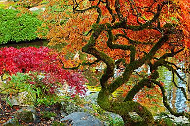 《星刃》开发商将在今年6月底之前公布新作 代号“女巫计划”