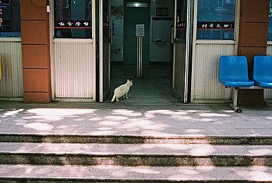 双人合作解谜冒险游戏《双人大逃脱：失落的潜艇》Steam页面 年内发售